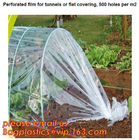 plastic tomatoes home garden polytunnel greenhouse film,Film Covering Tomato Planting Greenhouse,agricultural TUV polyet